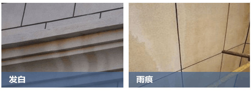 發白.jpg
